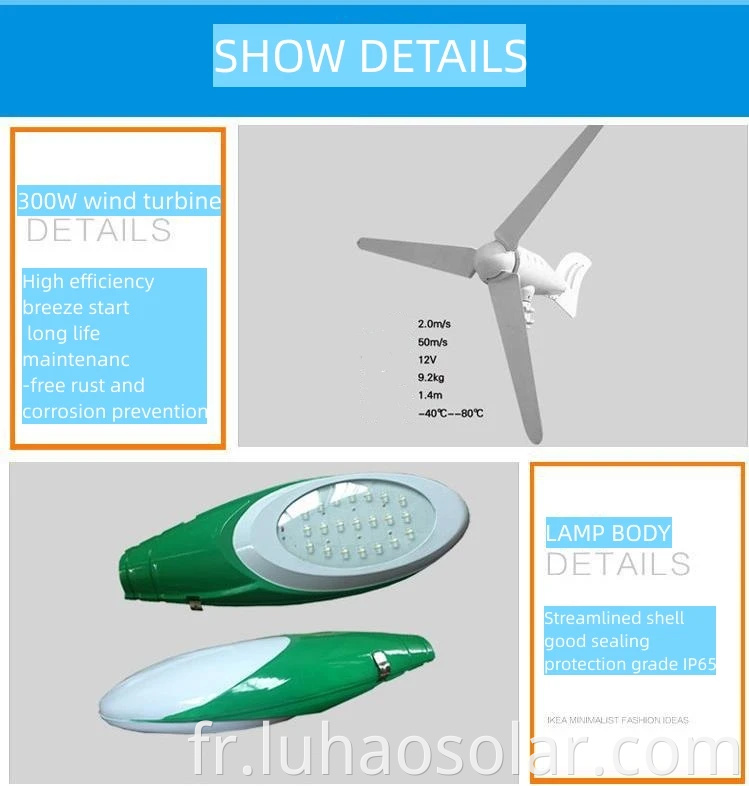 Solar And Wind Light Show Details